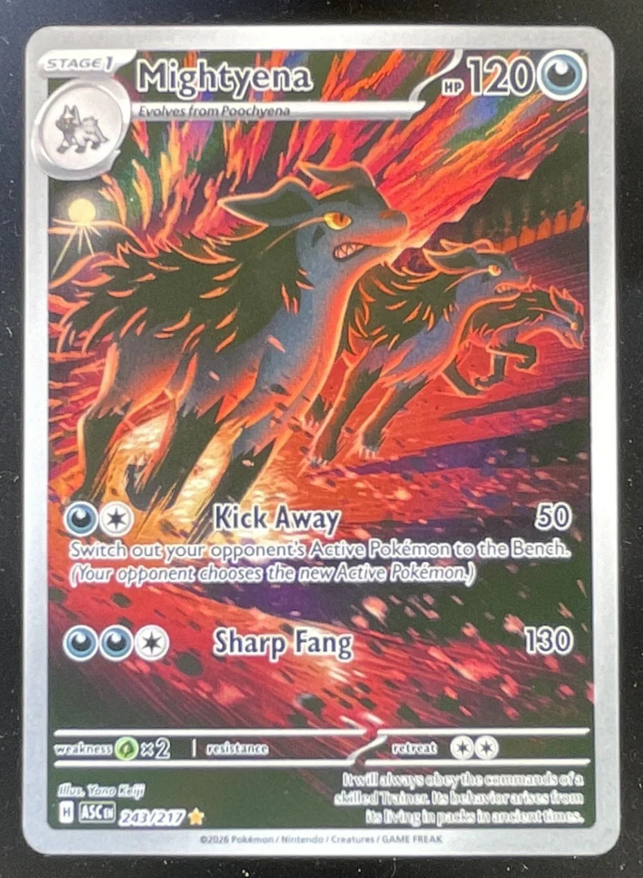 2026 Pokemon Ascended Heroes #243/217 Mightyena Illustration Rare